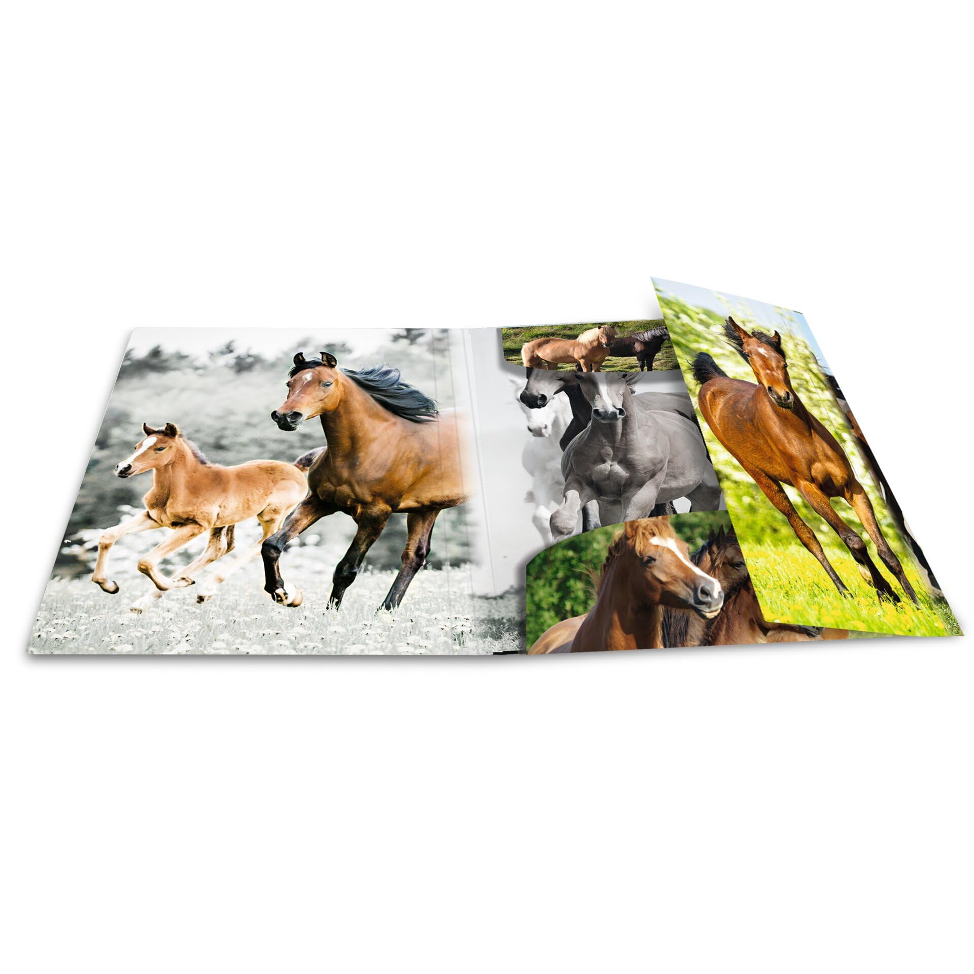 HERMA Portfolio Folders A4 Horse Set of 3 Children's Plastic Corner Folder with Animal Motif, Elastic Band - Image 3