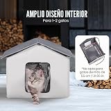 Ver la foto 6