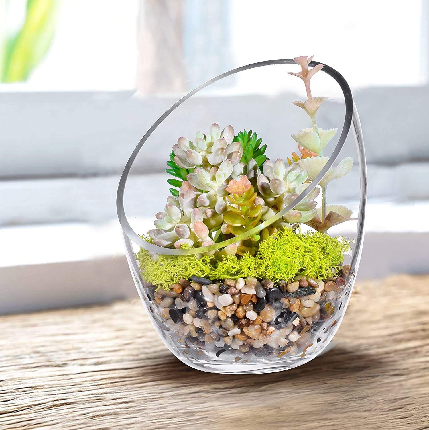 Zestaw do akwarium Przezroczysta, ukośna miska z bąbelkami, miska dla ryb i terrarium z roślinami, okrągła doniczka (7" x 5,5")