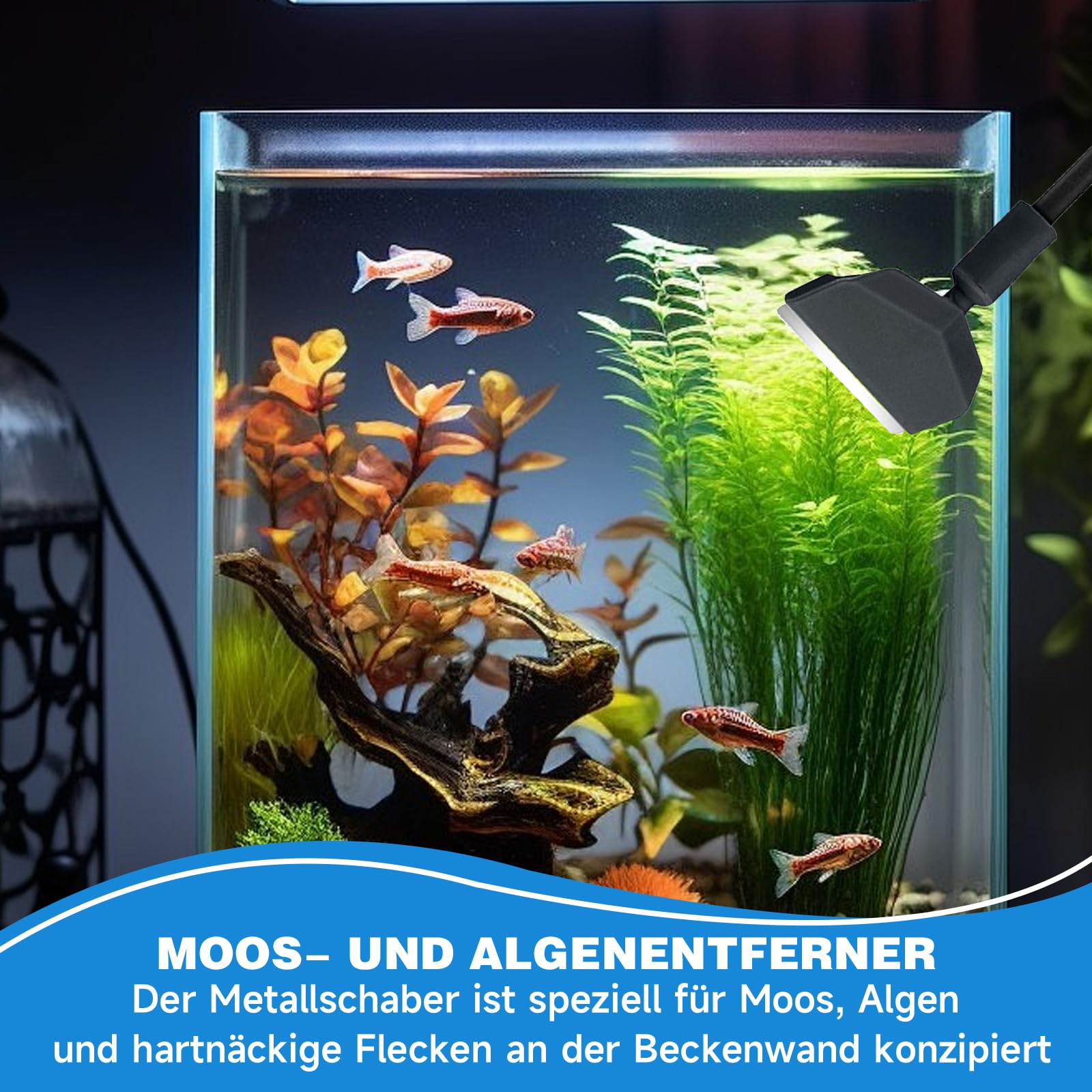 3 in 1 Aquarium Reinigungsset, 1 Stücke 30 ml Aquarium Pipette Dropper, Algenreiniger Tool Set, Algenschaber Triangle Bürste Rechtwinkliger Bürste, für Glas Fischbecken