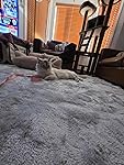 Review Image by Blew