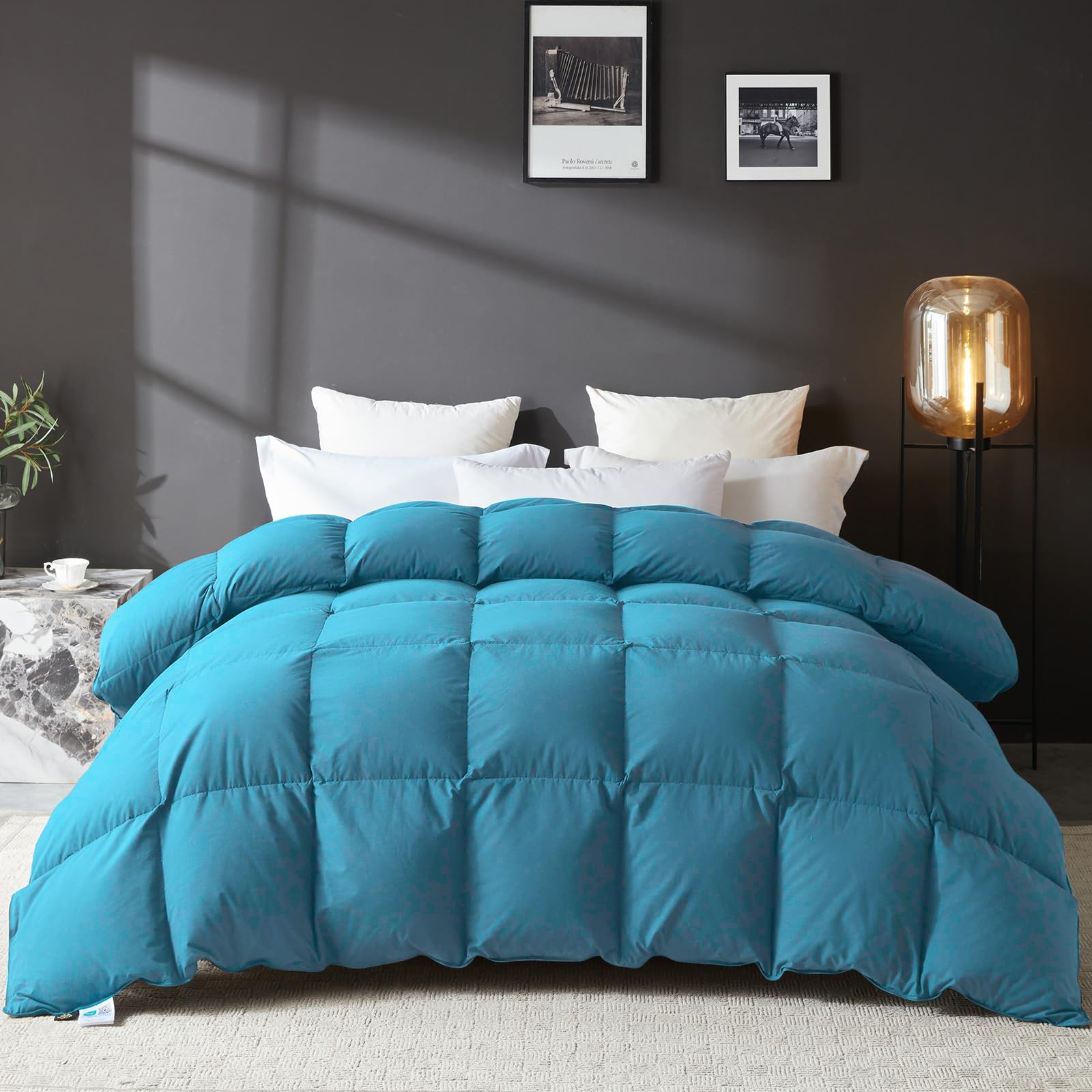 Queen Comforter,Goose Down Comforter All Season Duvet Insert with Corner Tabs,Grey Comforter 100% Egyptian Cotton 1200 Thread Count 700+Fill Power(90x90inches)