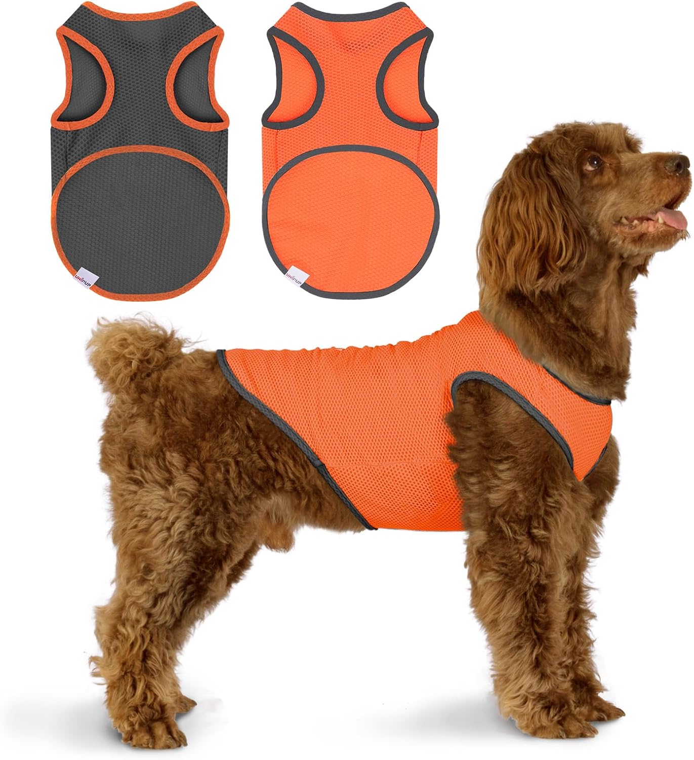 2 Pack Cooling Shirts for Dogs, Lightweight Mesh Breathable Dog Shirt for Small Medium Dogs Boy, Sun-Protection Sleeveless Shirts for Dog&Cat Puppy Vest Pet Apparel P23ST00605XL