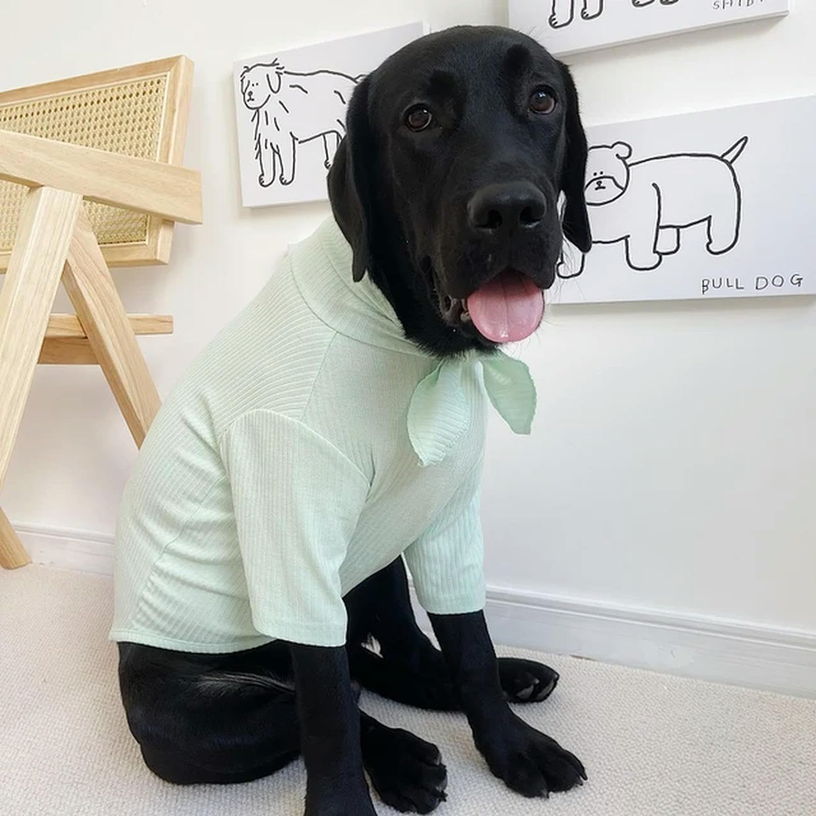 AJOHBMShirt Pug Corgi Samoyed Husky Labrador Golden Retriever Clothes Bull Terrier Dog Clothes Pajamas T-shirt Costume