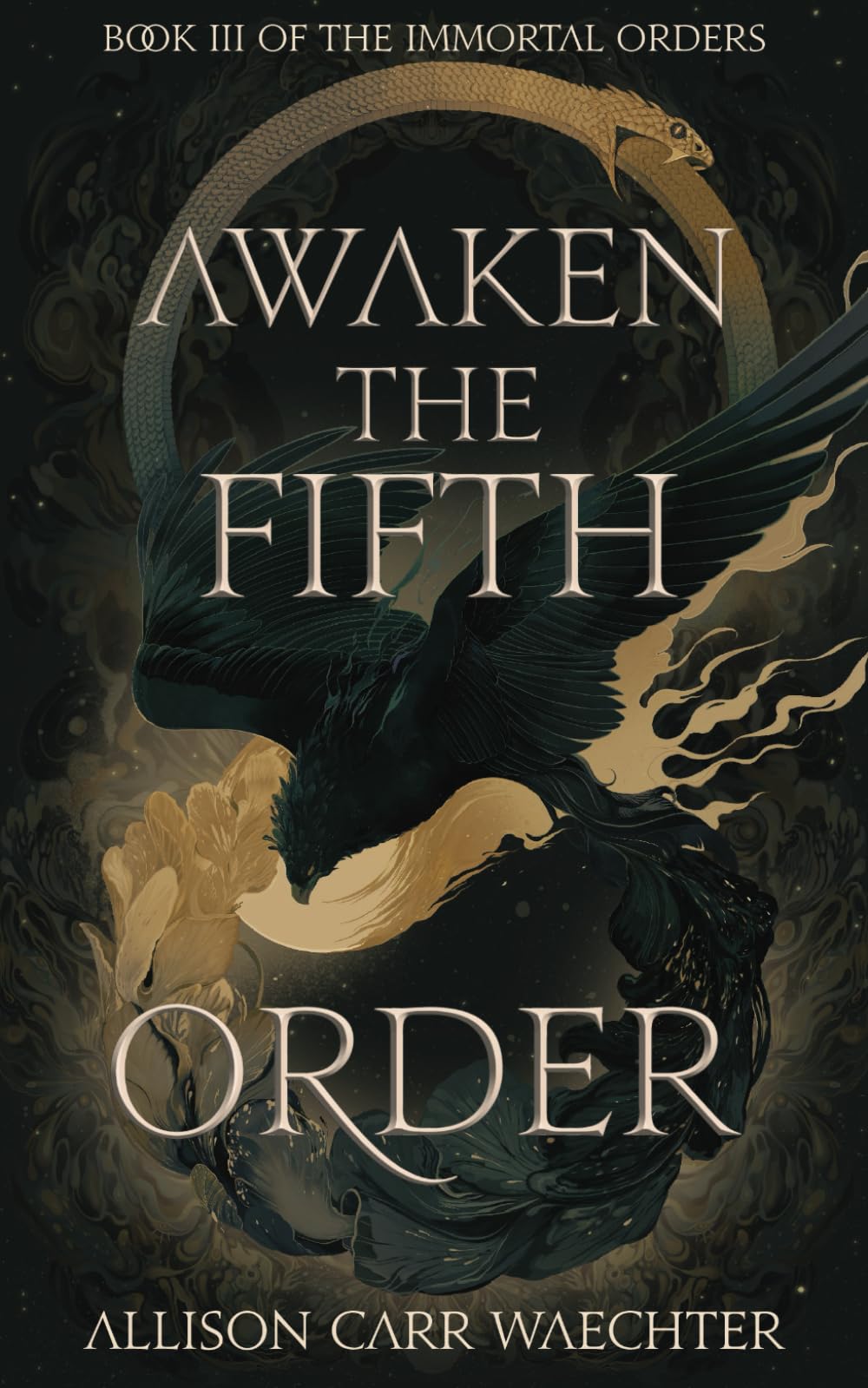 Cover of Awaken the Fifth Order