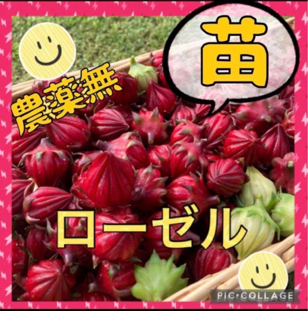 スキズ StrayKids ソウルコン マグネットキーリング ハン straykids