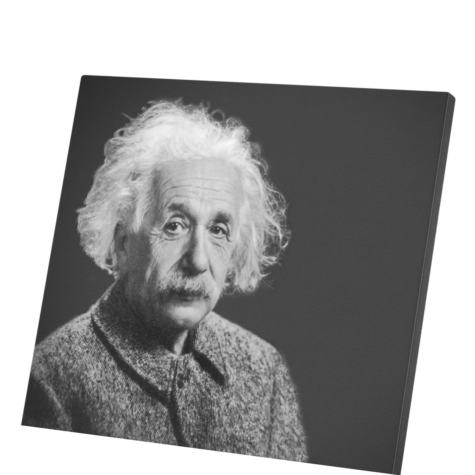 Poster Albert Einstein génie de la science cadeau idéal 67x60 cm - 4