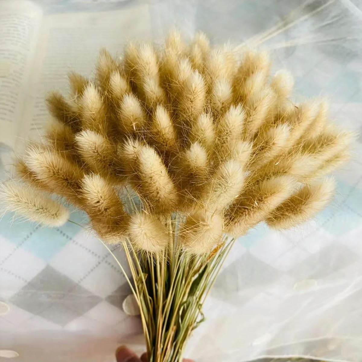 Lot de 50 Bouquets de Fleurs séchées en Herbe de Queue de Lapin Naturelle, pour Mariage, Maison, fête, Bureau, Arrangement Floral Moelleux, décoration, Rouge, 50 pièces
