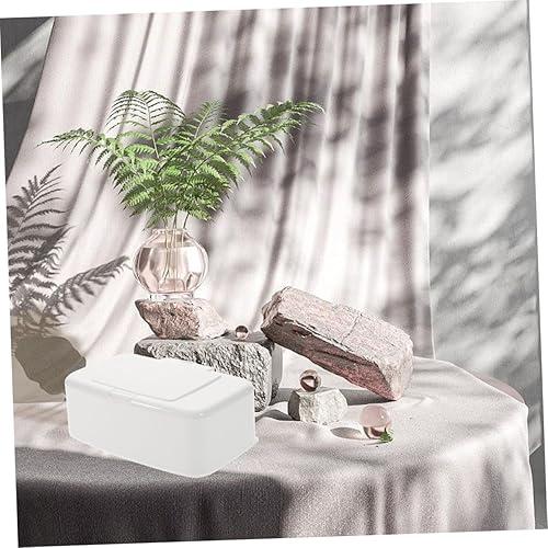 Miniatura 6 de Caja de almacenamiento de 2 piezas, toallitas removedoras de maquillaje, trapos desechables, caja organizadora de plástico, caja organizadora para