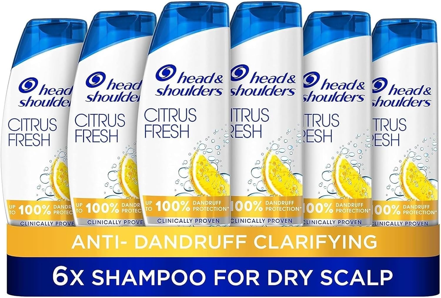Anti Dandruff Shampoo For Greasy Hair