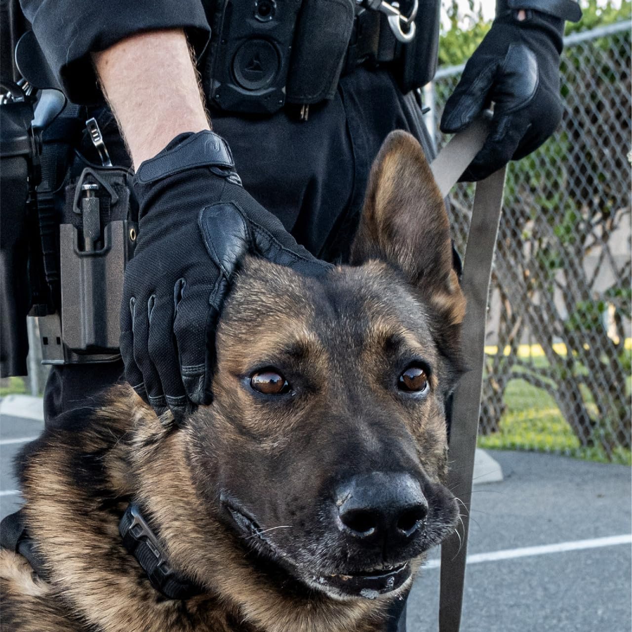 Ironclad Canine Rope Handler Glove