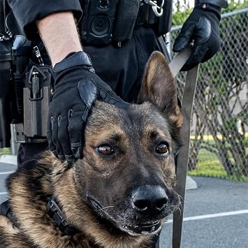 Ironclad Canine Rope Handler Glove