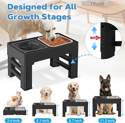 Miniatura 9 de IKUSO Cuencos elevados 2 en 1 para perros de alimentación lenta con 4 alturas ajustables para perros con cuenco de agua antiderrames y alfombrilla