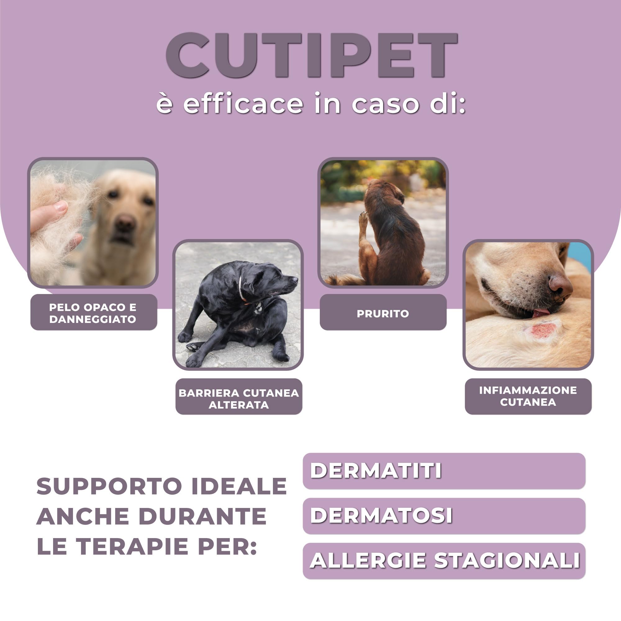 PETCEUTICA CUTIPET Integratore per Pelo Cane 50 ml, Olio di Ribes Nero, Zinco, Biotina, Gocce, Bianco, Made in Italy, con Siringa Dosatrice