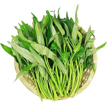 SEMI -100pcs / Sacchetto Di Acqua Spinaci Kangkong Vegetable Seeds, Cimelio Organico Palude - Foto 3