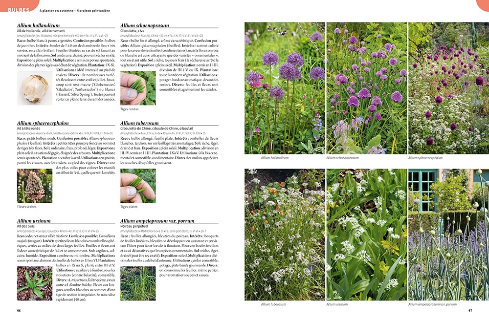 Les 900 plantes de jardin à connaître