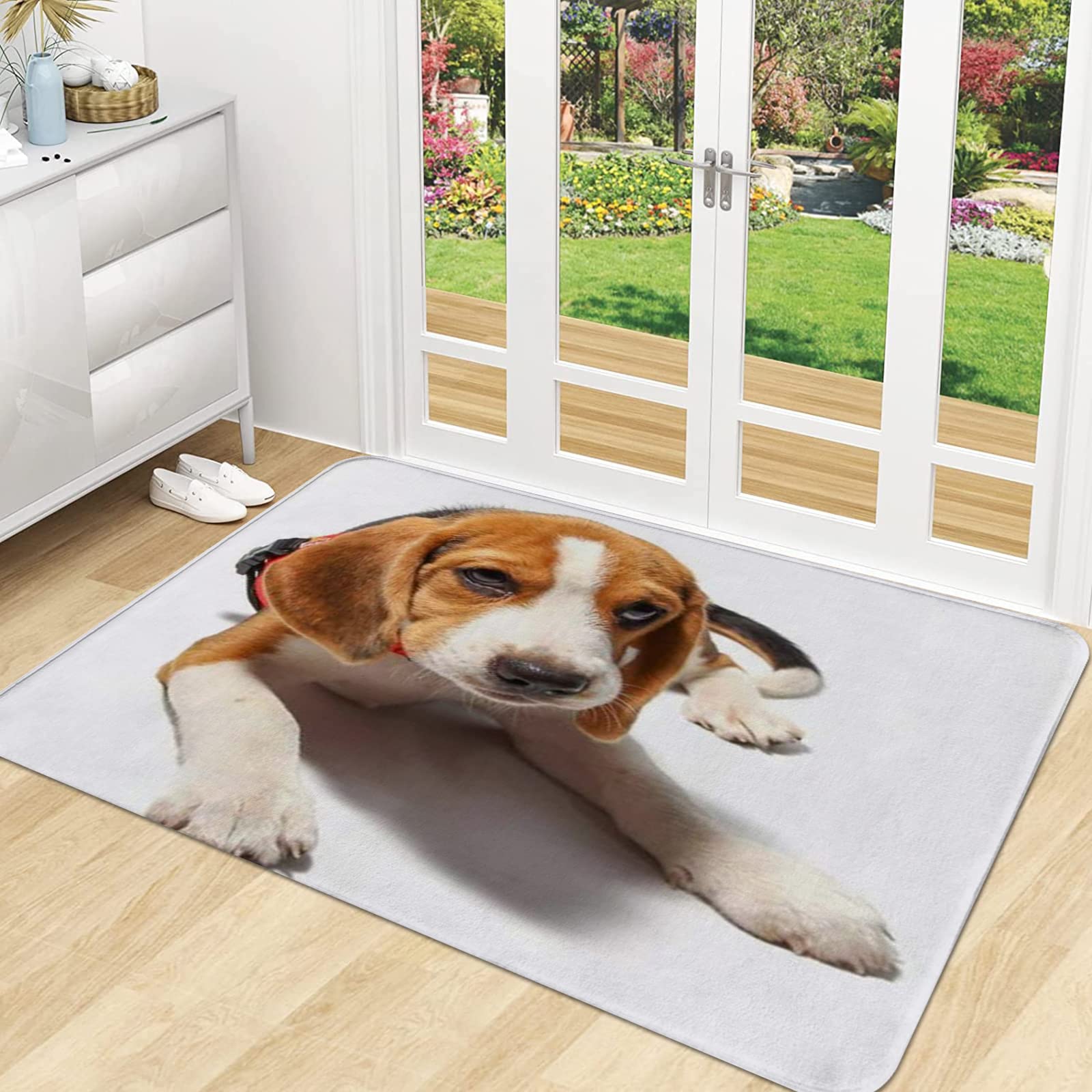 Zerbino Coloranimal 40x60 Cm Con Stampa Divertente – Antiscivolo In Gomma, Lavabile, Per Interni/Esterni