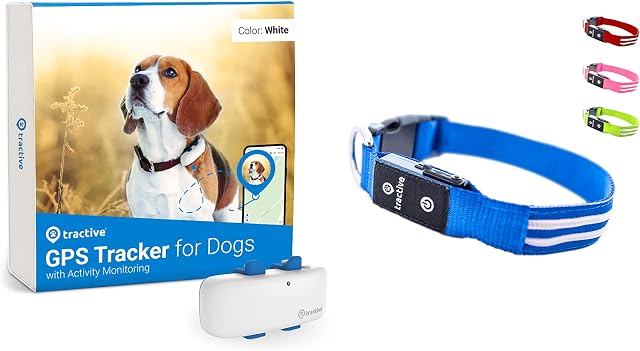 Tractive GPS Dog Tracker. Live Location With Unlimited Range + LED Collar (Blue, M)