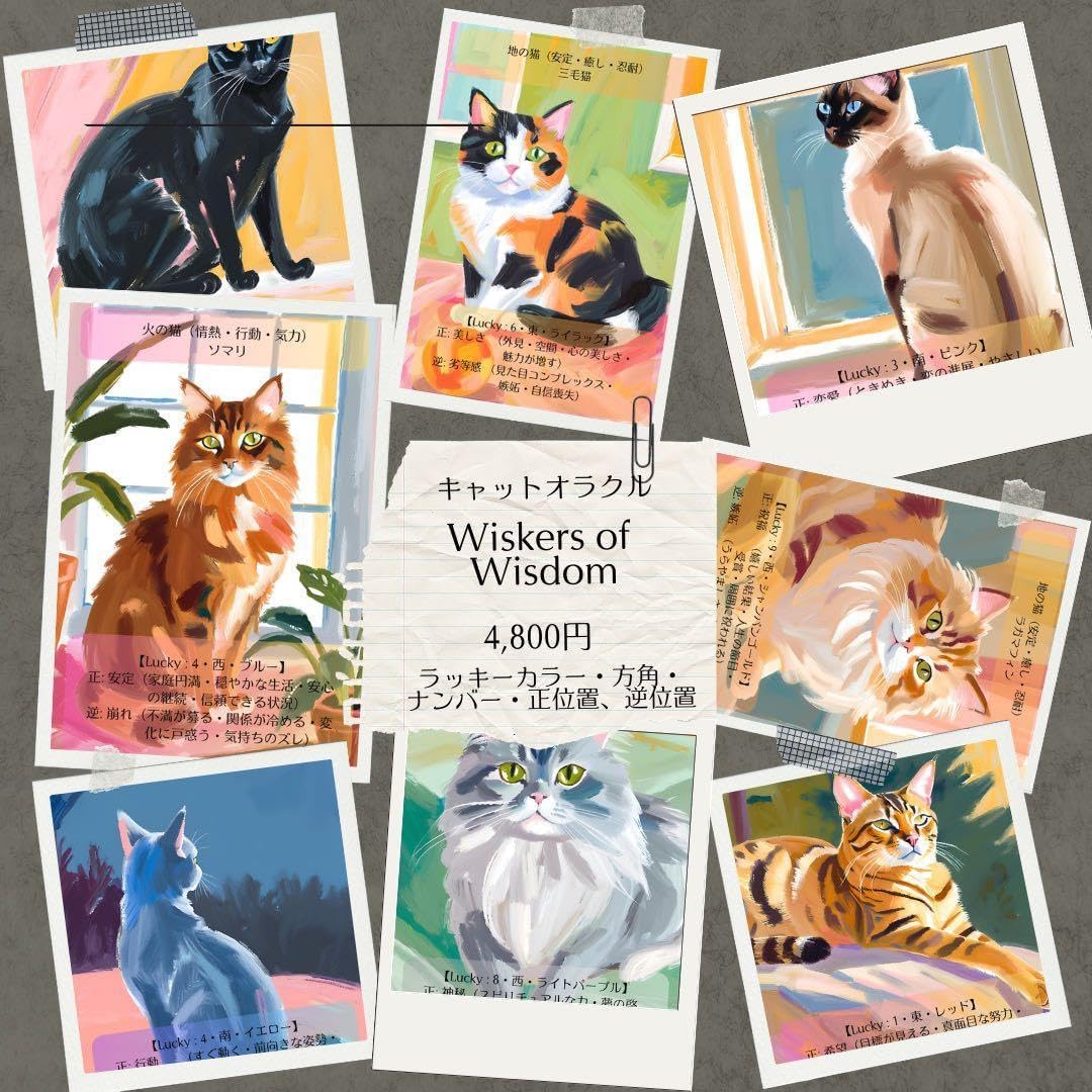 ミャオ・オラクルDX《第2版》 | ねこのみち 読み解き簡単・猫オラクルカード