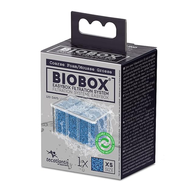 Aquatlantis Easy Box Esponja Filtro de Espuma, Talla XS