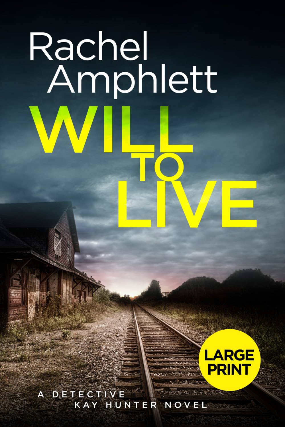 Will to Live: A gripping serial killer murder mystery: 2 (Detective Kay Hunter)