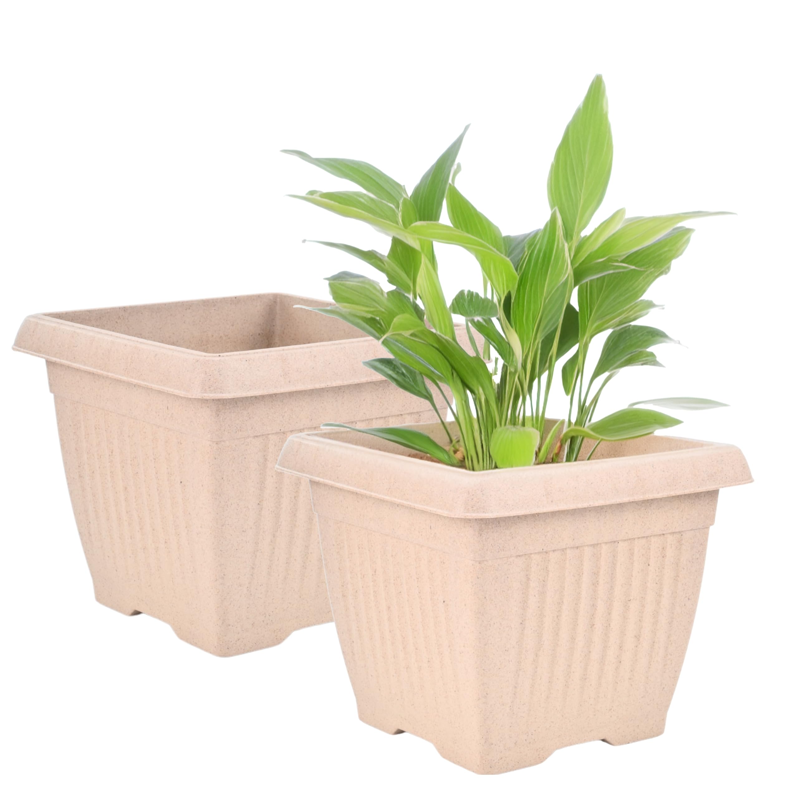Eha Earth Friendly Bella Square 8 inch Pots for Plants | Set of 2 | Bamboo Based, UV Protected Planters for Living Room | Plant Pots for Home Decor, Indoor & Outdoor | Sand Castle (B0D8YY173N) Amazon Price History, Amazon Price Tracker