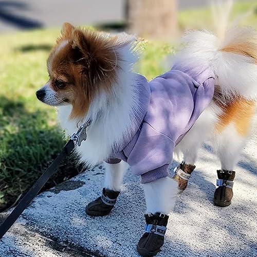Miniatura 117 de Jecikelon - Sudadera con capucha y bolsillos, cálida para invierno, para perros pequeños, ropa de abrigo para chihuahuas, disfraz para cachorros