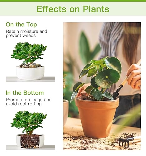 Miniatura 2 de NUPICK Rocas de río de 10 libras, guijarros pulidos de 0.8 a 1.3 pulgadas para plantas, pecera, jarrón transparente y más, piedras de colores mixtos