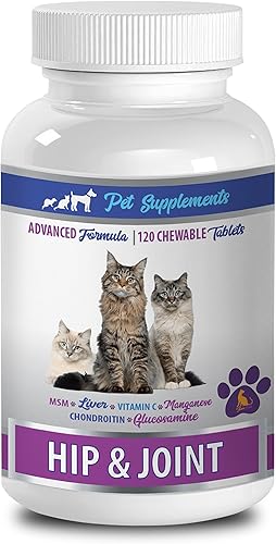 cat - Golosinas para cadera y articulaciones, cadera y articulaciones, para gatos, salud y cuidado, masticables, glucosamina para gatos, 1 botella