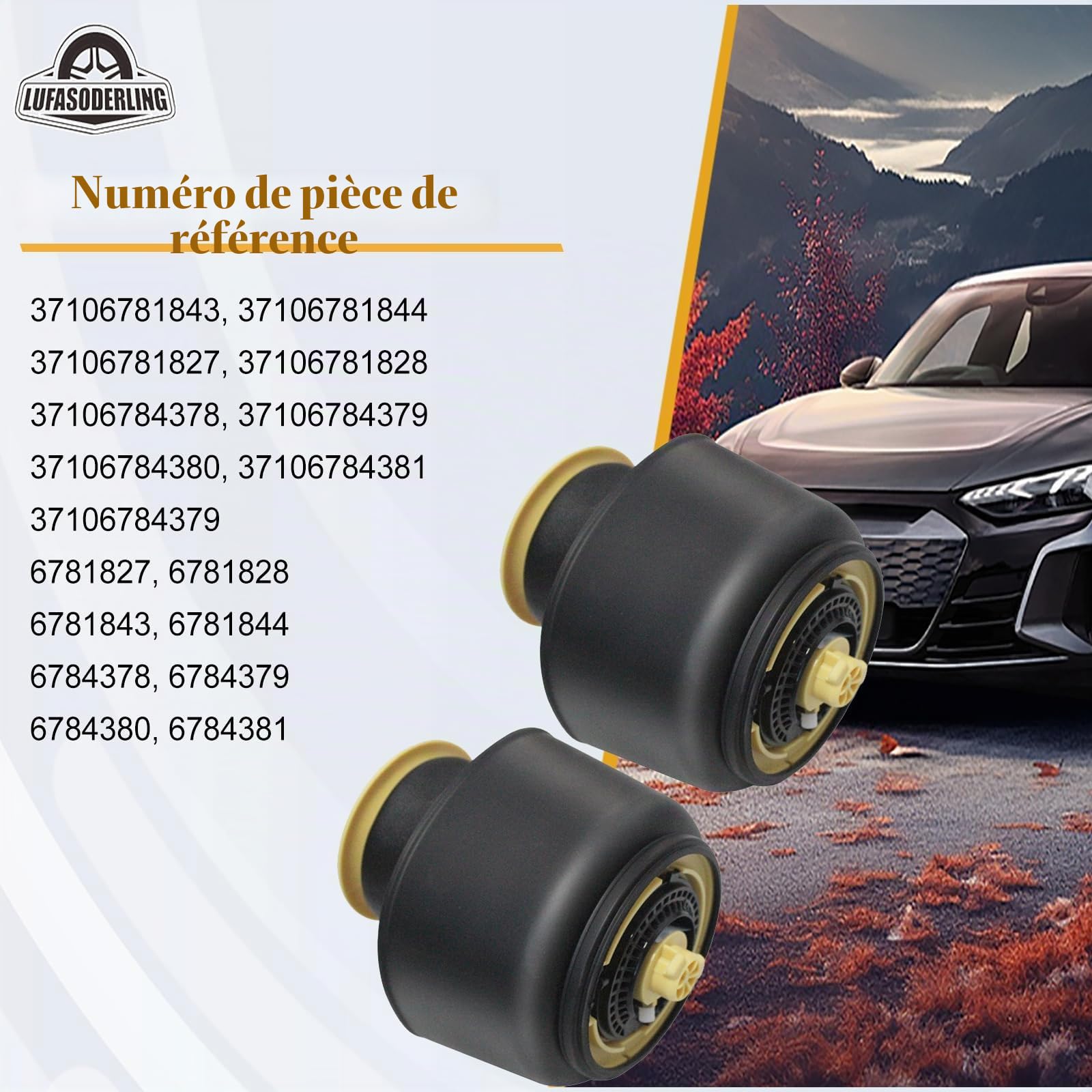 2x Ressorts Pneumatiques Arrière pour BMW Série 5 F07 GT F10 F11 535i 535iX 530d 530dX 550i 550iX Gran Turismo 37106781827 37106781828 37106781843 37106781844 37106784378 37106784380
