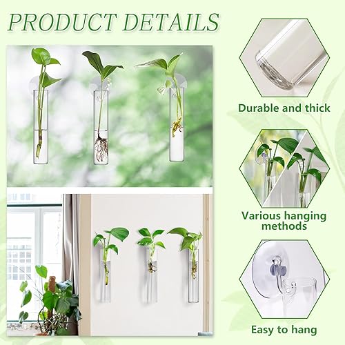 Miniatura 4 de Estaciones de propagación de ventana de pared, 6 macetas colgantes de pared, contenedor de terrario de vidrio, estación de propagación de plantas,