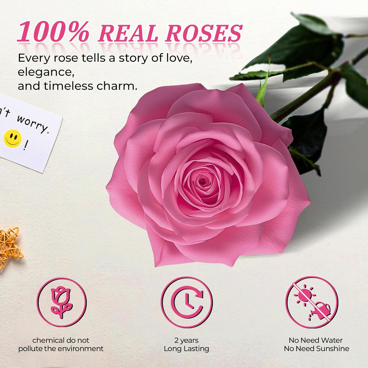 16 Pieces Forever Flower Heart Shape in a Box Preserved Pink Roses for Delivery Grade A Quality 100% Real Immortal Flowers Eternal Birthday for Her Mom Women Wife Girlfriends (Pink) - Image 5