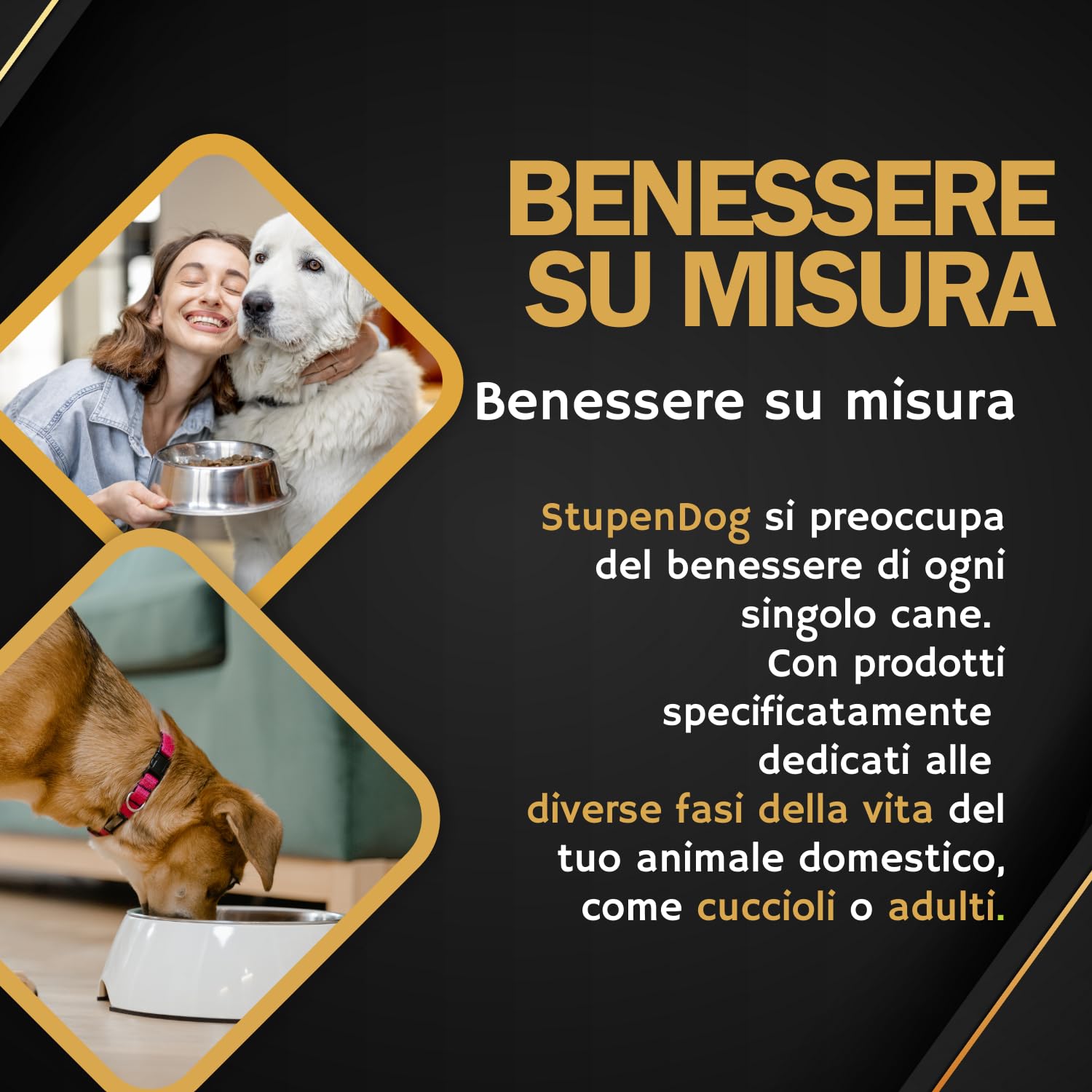 STUPENDOG Crocchette per Cani Energy Power 20kg, Croccantini Cane, Cibo per Cani Adulti Attivi - Crocchette Manzo e Maiale