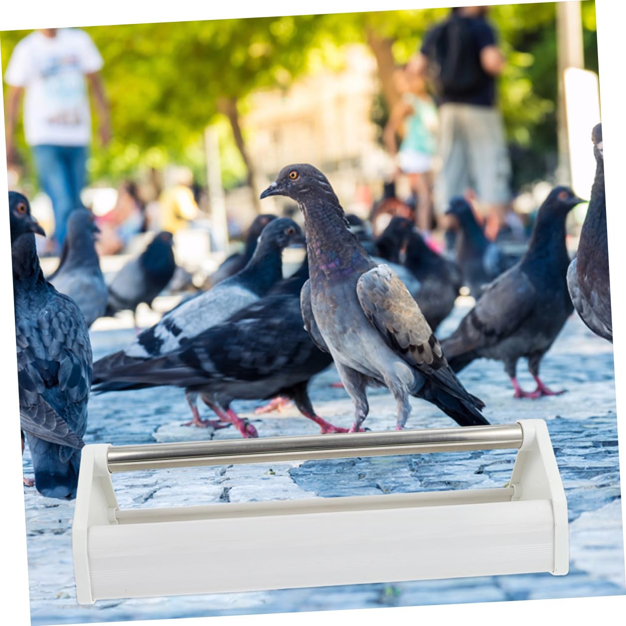 FRCOLOR Mangeoires pour Pigeons Distributeur de Nourriture Plastique et Acier Inoxydable 40 Cm Lot de 2 Alimentation Oiseaux Petits Oiseaux Cage
