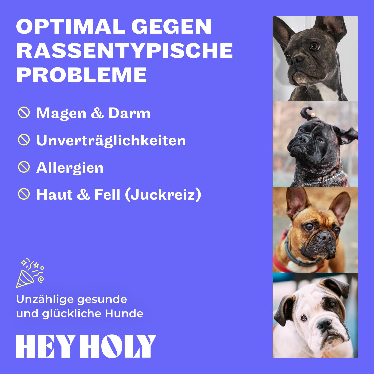 HEY HOLY Premium Trockenfutter für Bulldoggen 100% getreidefrei | 7kg hypoallergenes Hundefutter für ausgewachsene Bulldoggen mit Lachs | Hochverträglich aus natürlichen Zutaten