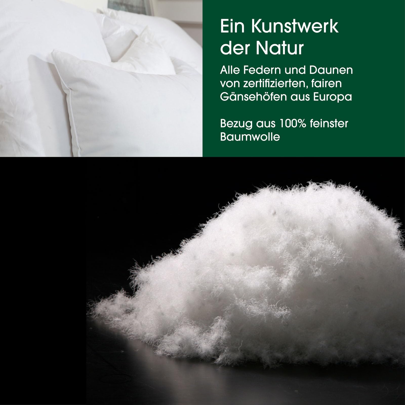 Premium de Luxe Daunenkissen 80x80 cm - Made in Germany Daunen Kopfkissen aus 100% Baumwolle - 3 Kammer Daunenkissen für Allergiker [1er Pack]