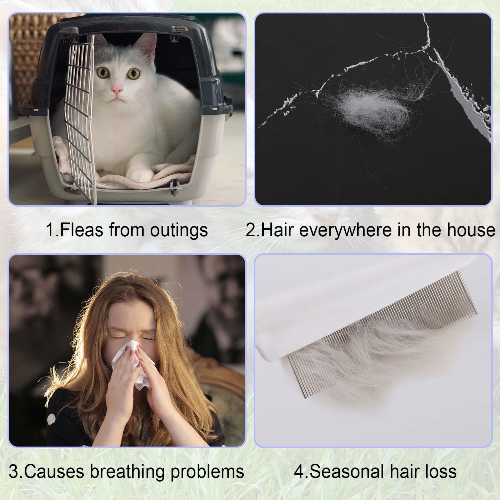 4pcs Brosse de Toilettage pour Animaux de Compagnie, Peigne à Puces pour Chat Peigne à Puces Chien Multifonctionnel Peigne à Puces pour Chiens Peigne à Cheveux pour Animaux de Compagnie