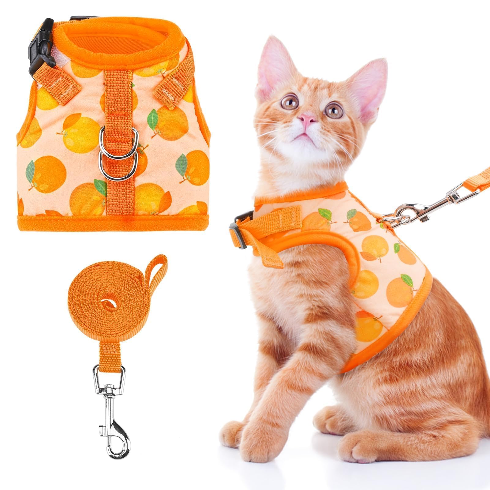 Arnés con correa para perros pequeños de malla transpirable BINGPET ajustable patrón naranja