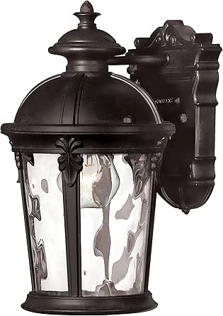 Hinkley Windsor European Influence Extra Small Outdoor One Light Wall Mount, Black