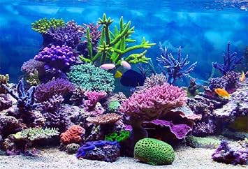 AOFOTO 5x3ft Under The Sea Backdrop Underwater Seascape Coral and Fish Aquarium Small Background for Photography Marin Ocean Diving Atoll Reef Summer Kids Birthday Portrait Photoshoot Studio Props