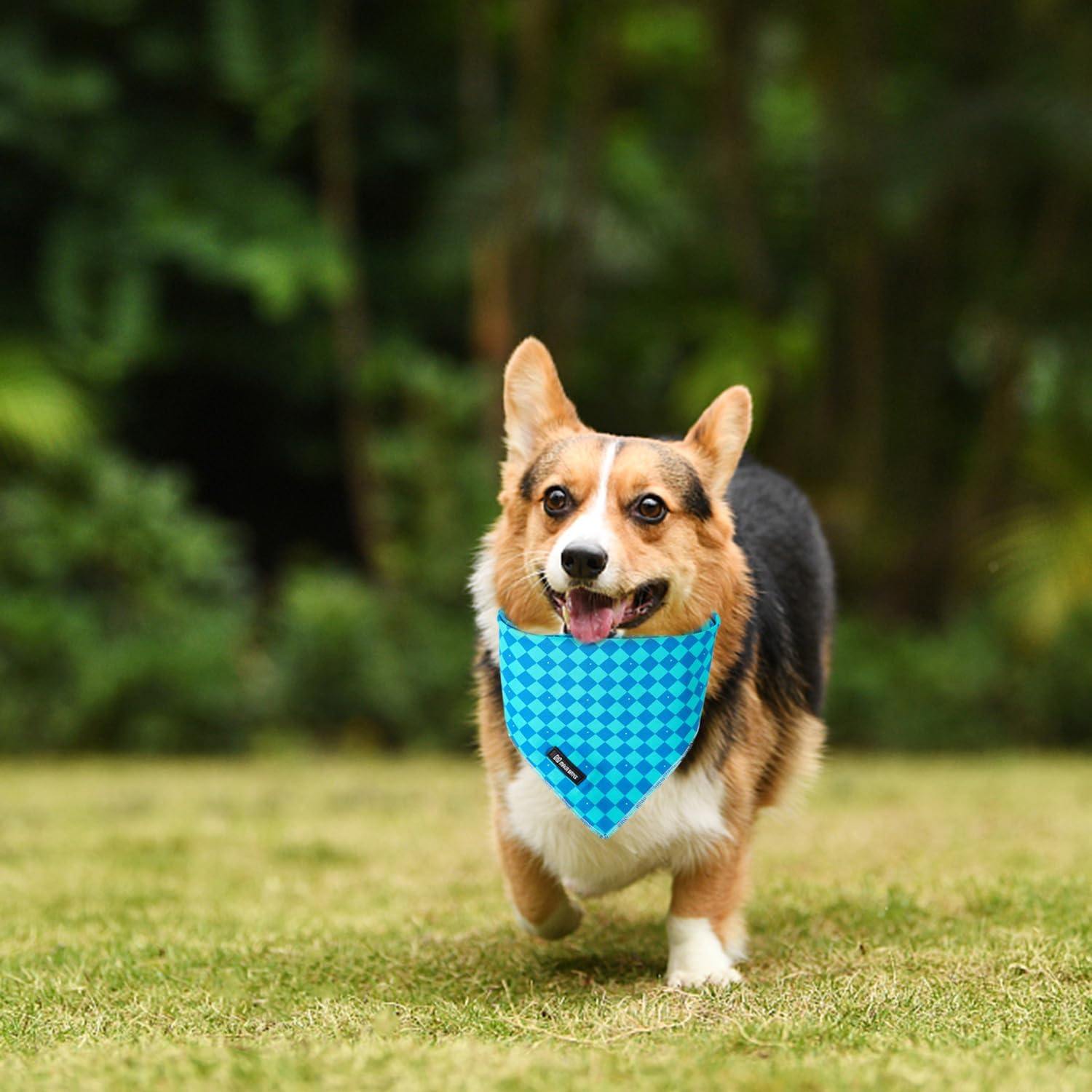 Maca Bates Checkered Blue Dog Plaid Bandana Triangle Grid Scarf Summer Handkerchief Soft Cotton Adjustable Puppy Bandanas for Small Large Boy Male Pet image 4