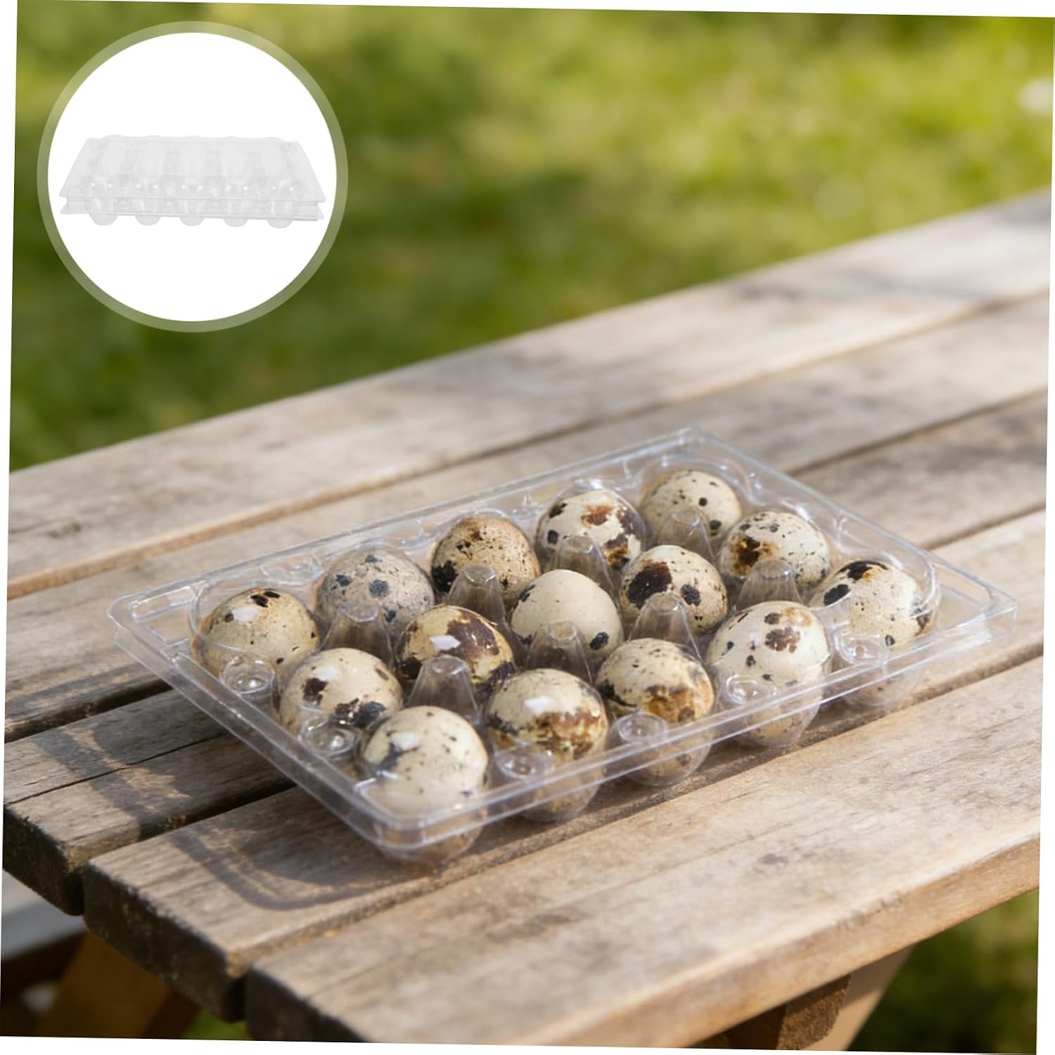 Angoily 30pcs Reusable Plastic Quail Egg Cartons with 15-grid Flat Trays for Refrigerator Storage, Space-saving Quail Egg Holder Bulk Carton for Kitchen Organization