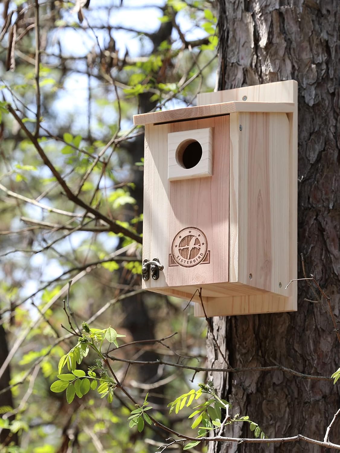 SISTERBIRD Bird Houses for Outside 1-1/2" Entrance Hole Cedar Wild BirdHouses Outdoor Decoration Bluebird Wren Swallow Finch Cardinal Assembly Required : Patio, Lawn & Garden