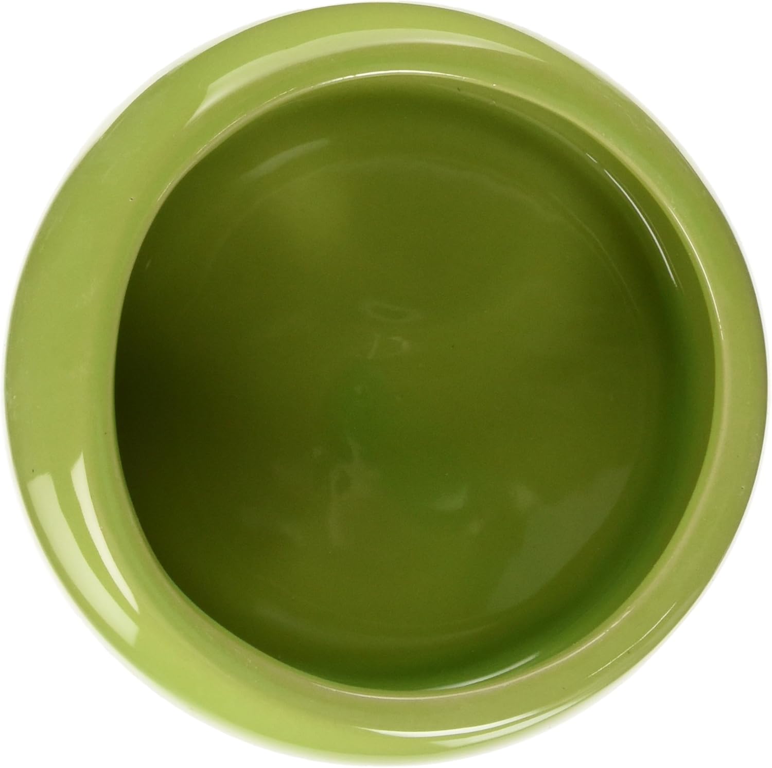 Living World Ergonomic Food Dish, for Small Animals, Green, Large, 14.78 oz, 61681