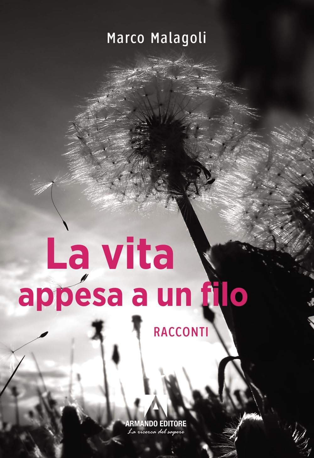 La Vita Appesa A Un Filo - 4