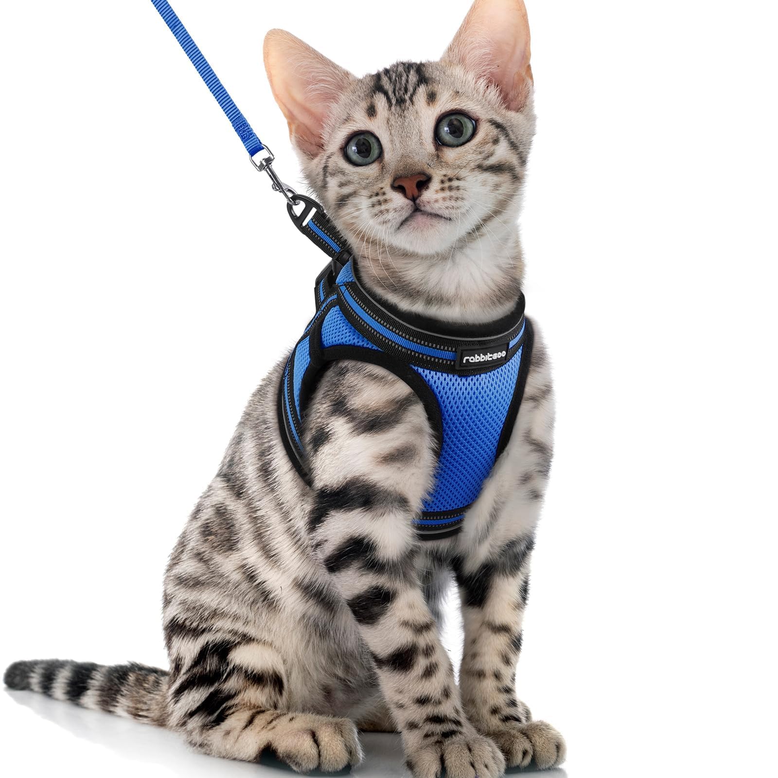 rabbitgoo Cat Harness and Leash Set for Walking Escape Proof, Adjustable Soft Kittens Vest with Reflective Strip for Cats, Comfortable Outdoor Vest, Black, Small — view 23