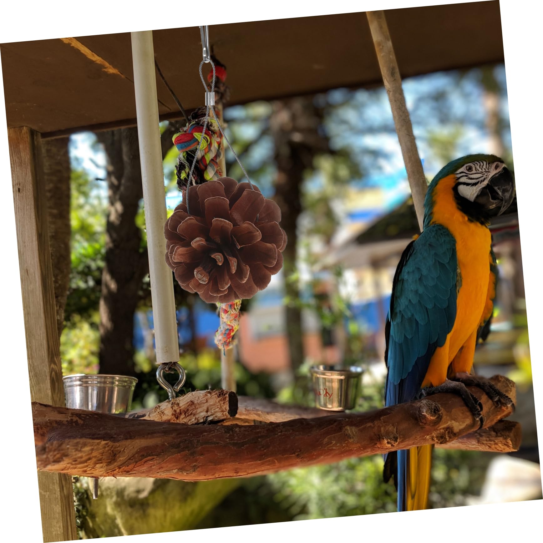 BESPORTBLE 30piezas Juguete De Forrajeo Natural para Aves y Periquitos De Piñas De Pino Juguete Masticable Seguro para Mascotas para Estimulación y Entretenimiento De Pájaros