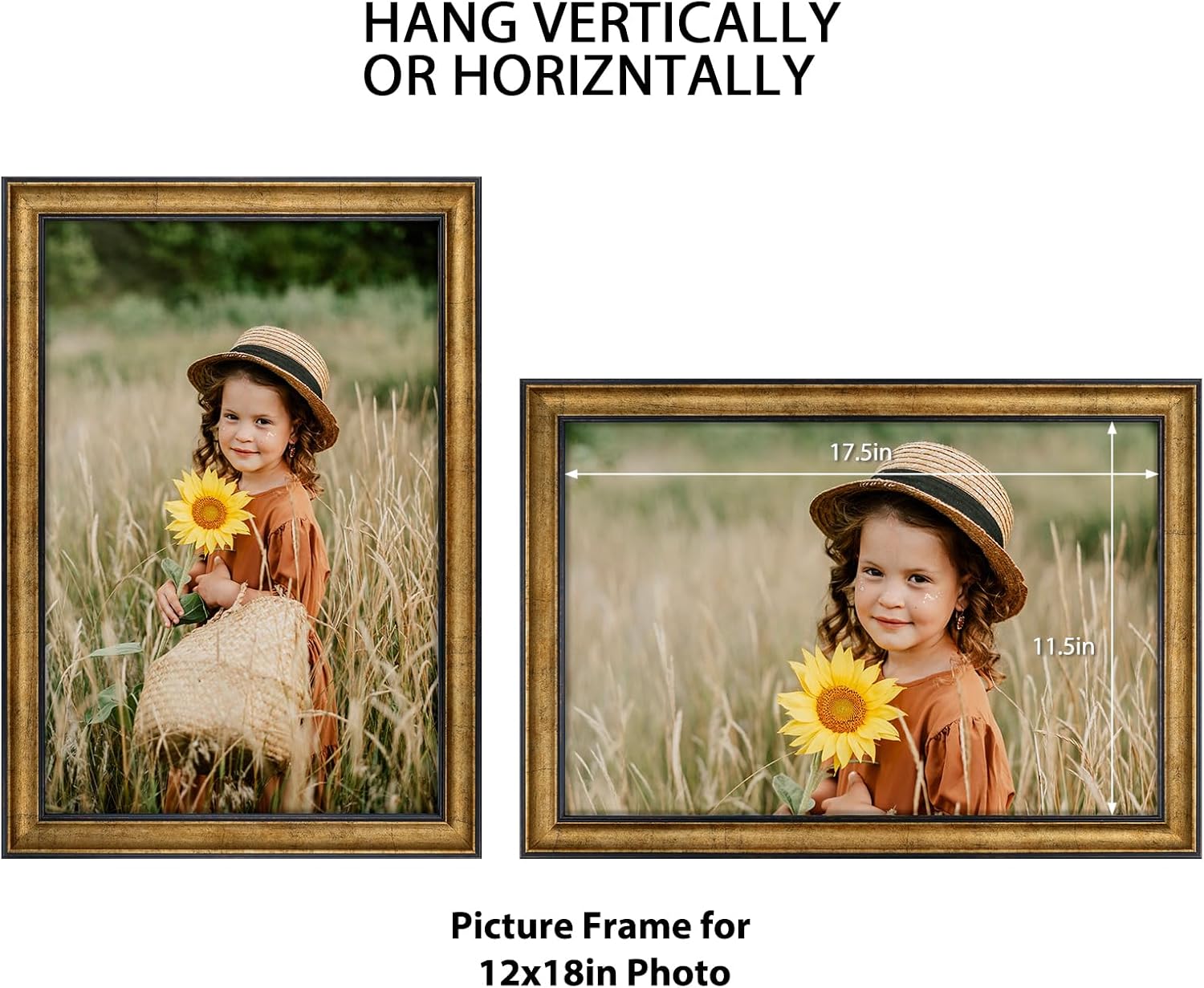 Frametory, 12x18 Picture Frame - Wall Display - Real Glass - Great for Wedding, Poster, Engagement Photographs - Antique Gold