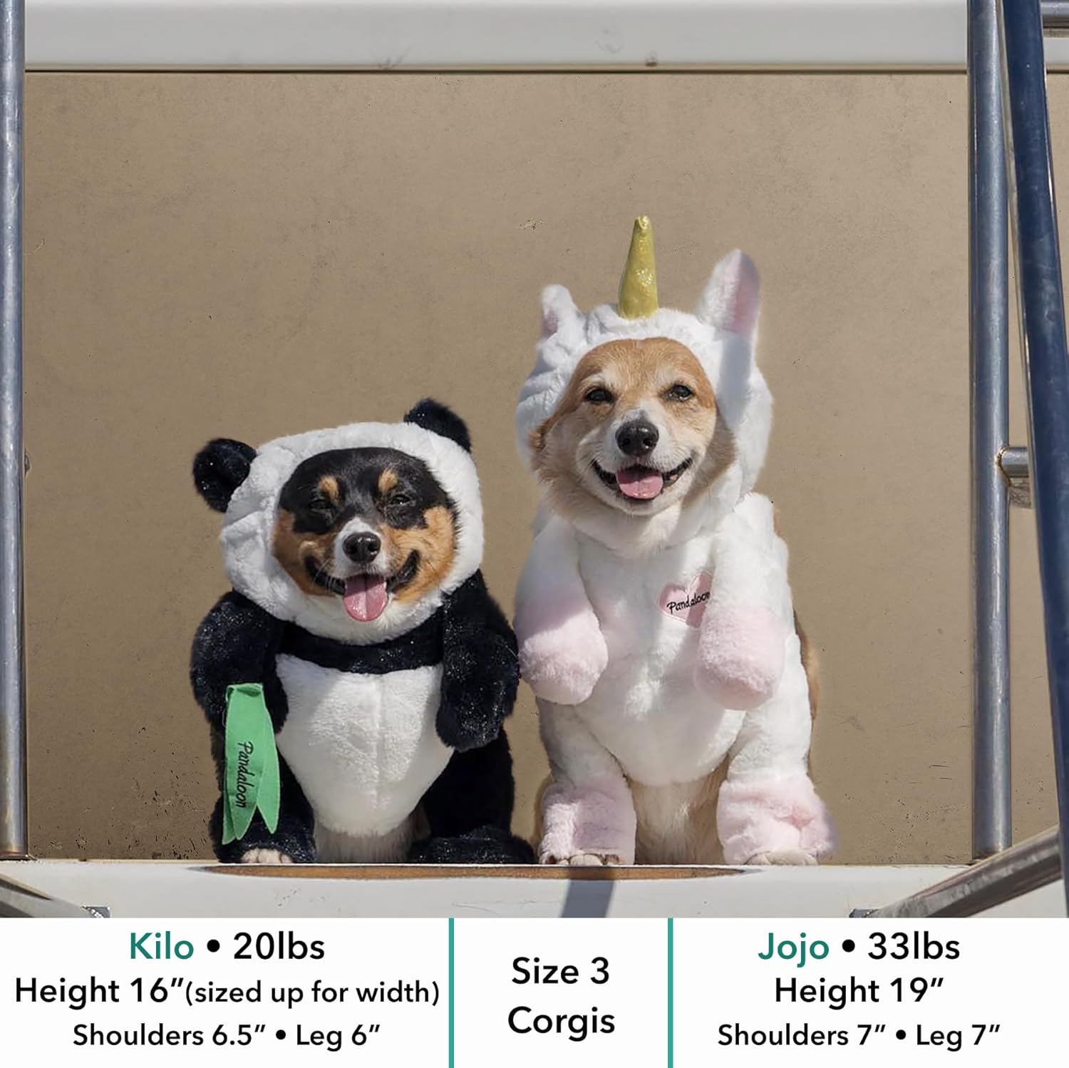 Pandaloon Dog Halloween Costume - As Seen on Shark Tank - Patented - Funny Costume with Arms for Small and Medium Dogs and Cats (Panda, Size 1(13-14 in Height at TOP of Head,Girth<16 in))