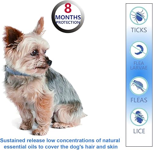 Miniatura 3 de Natural Ingredients - Collar antipulgas para perros pequeños, collar seguro y eficaz para pulgas y garrapatas, impermeable, protección de 8 meses